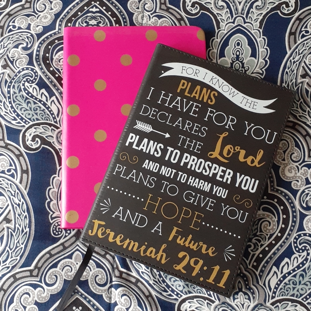 2 Journals (lined)